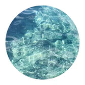 Sea Notes